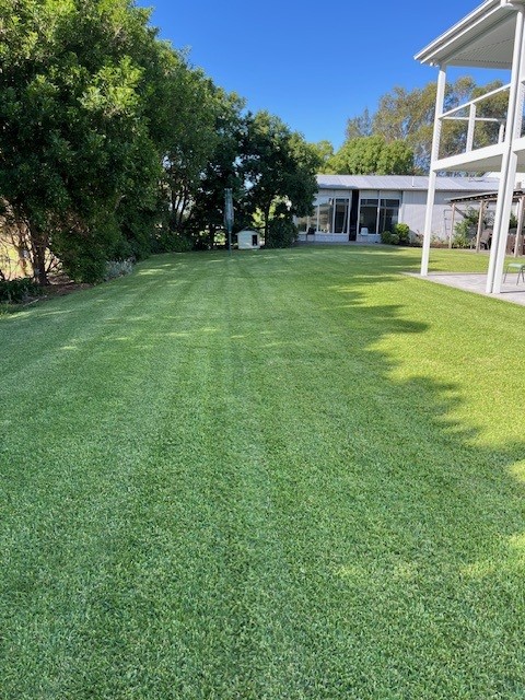 OB Turf | 61 Flat Rd, Bolwarra NSW 2320, Australia | Phone: 0408 600 827