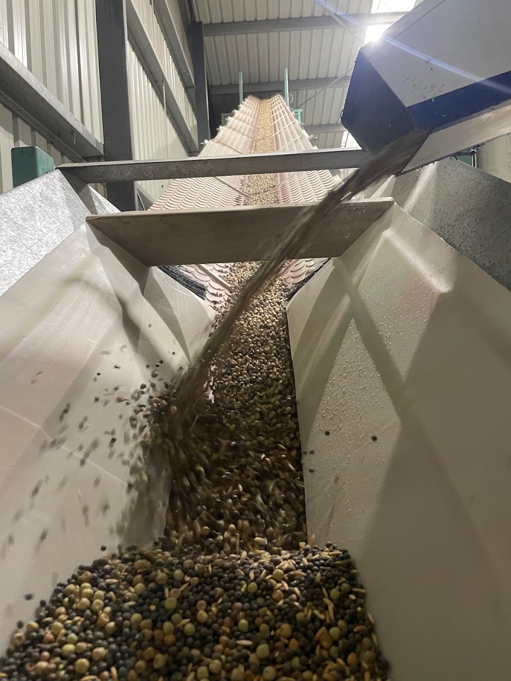 Hickseeds | 535 Torwood-Topiram Rd, Torwood VIC 3821, Australia | Phone: 0407 308 089