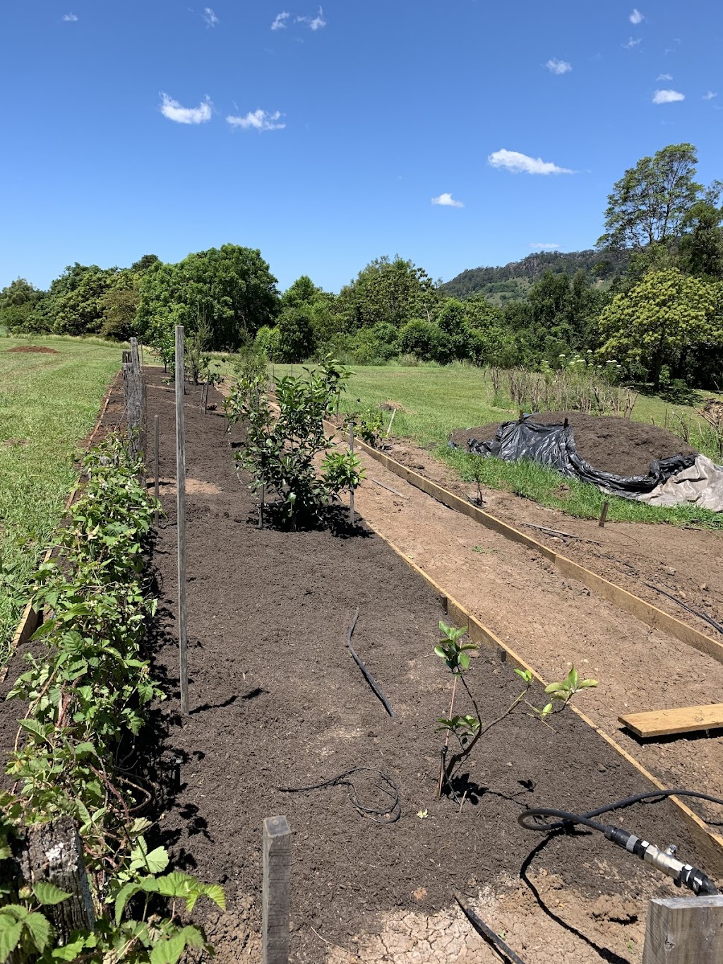 Pepos Gardens | 139 Possum Creek Rd, Bangalow NSW 2479, Australia | Phone: 0413 406 597