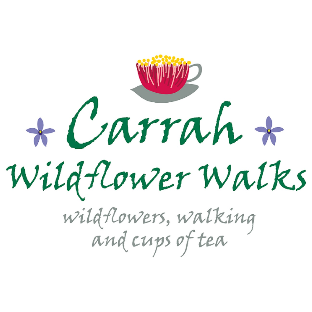 Carrah Wildflower Walks | tourist attraction | 1173 Calingiri W Rd, Old Plains WA 6569, Australia | 0459212780 OR +61 459 212 780