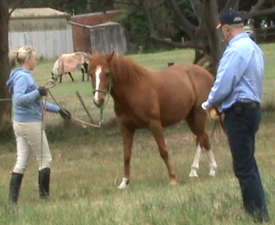 Natural Horsemanship | 7 Greenvale Dr, Gisborne VIC 3437, Australia | Phone: 0419 556 783