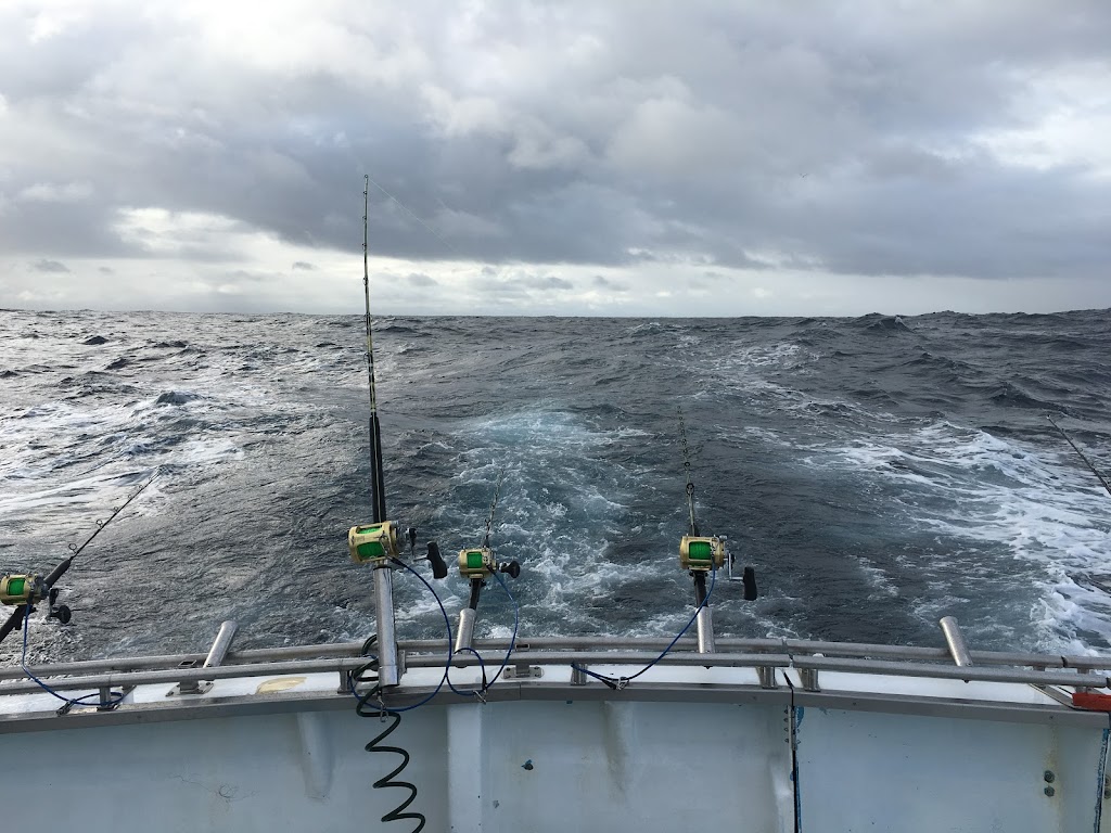 Proline Fishing Charters | Lee Breakwater Rd, Portland VIC 3305, Australia | Phone: 0429 846 279