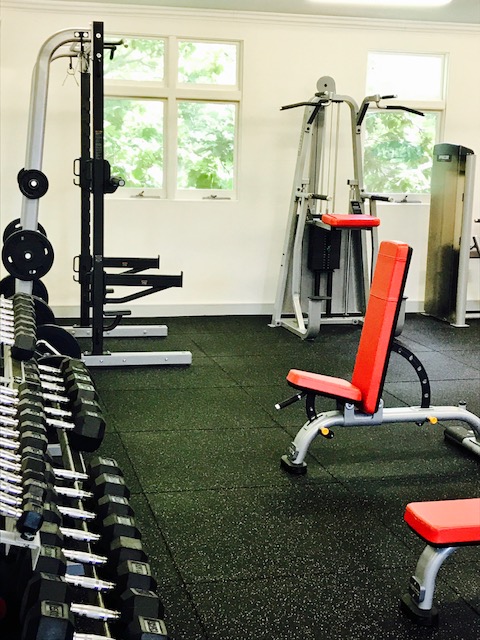 Vision Personal Training Surrey Hills | 1/597 Canterbury Rd, Surrey Hills VIC 3127, Australia | Phone: (03) 9830 2348