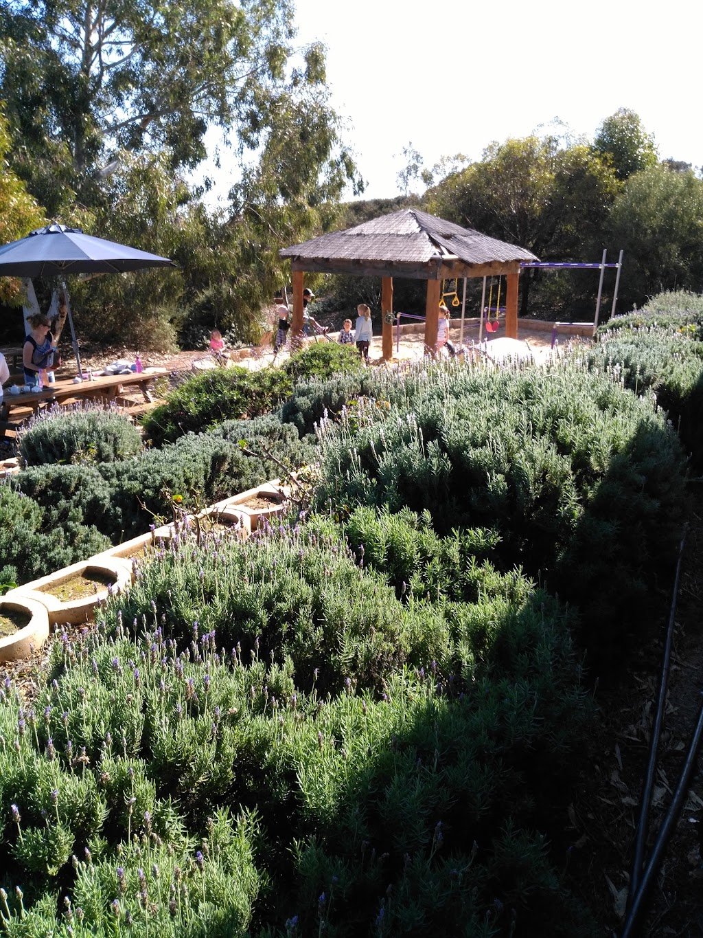 Lavender Valley Farm | 1852 Chapman Valley Rd, Yetna WA 6532, Australia | Phone: 0427 205 069