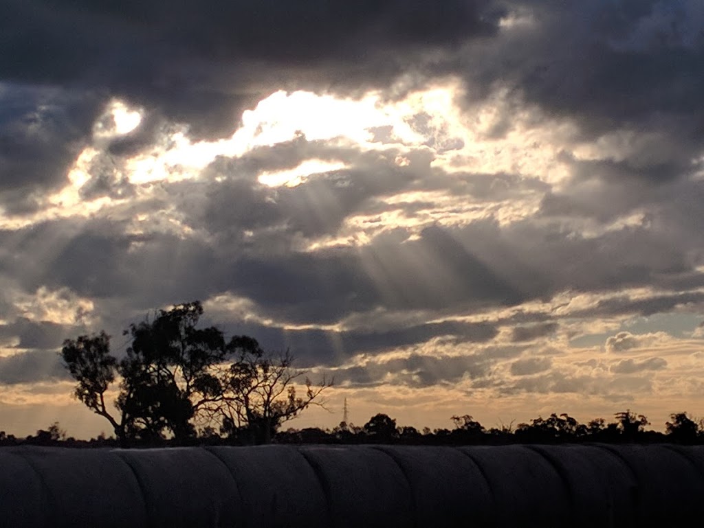 Hayanmi Streamside Reserve | park | Uptons Rd, Calivil VIC 3573, Australia