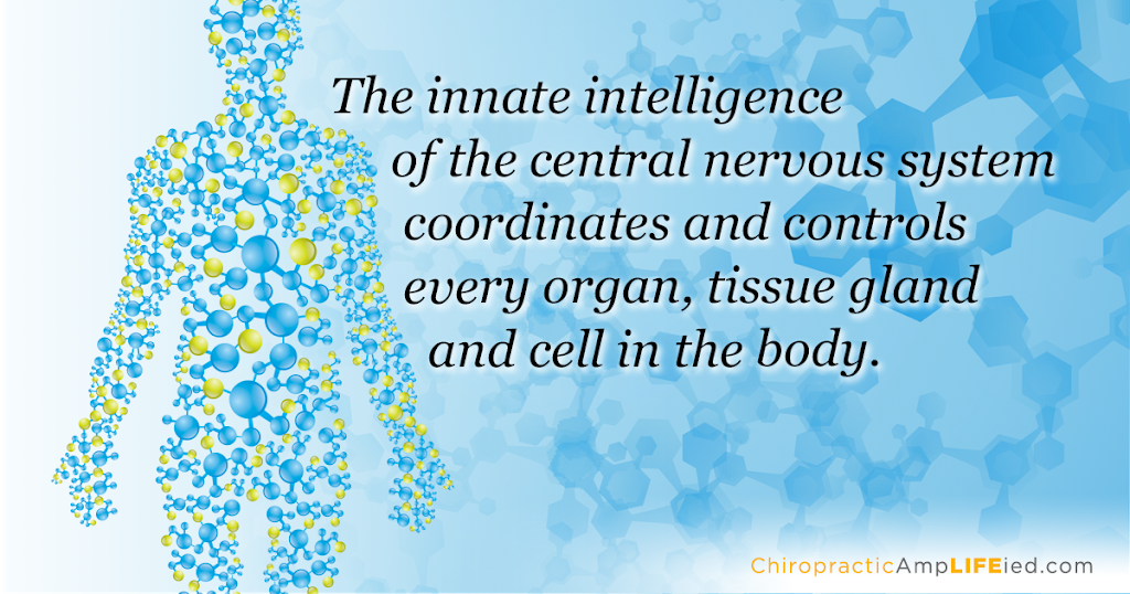 Chiro Works Bayside | 17 S Concourse, Beaumaris VIC 3193, Australia | Phone: (03) 9589 0076