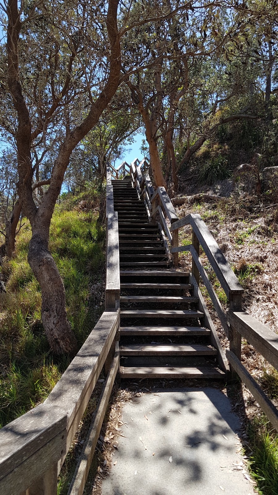 Lions Park and Lookout | Stewart St, Port Macquarie NSW 2444, Australia | Phone: (02) 6583 2580