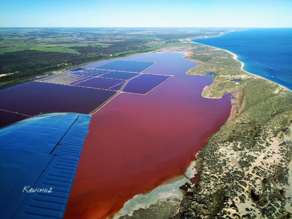 Pink Lake | Port Gregory Rd, Gregory WA 6535, Australia