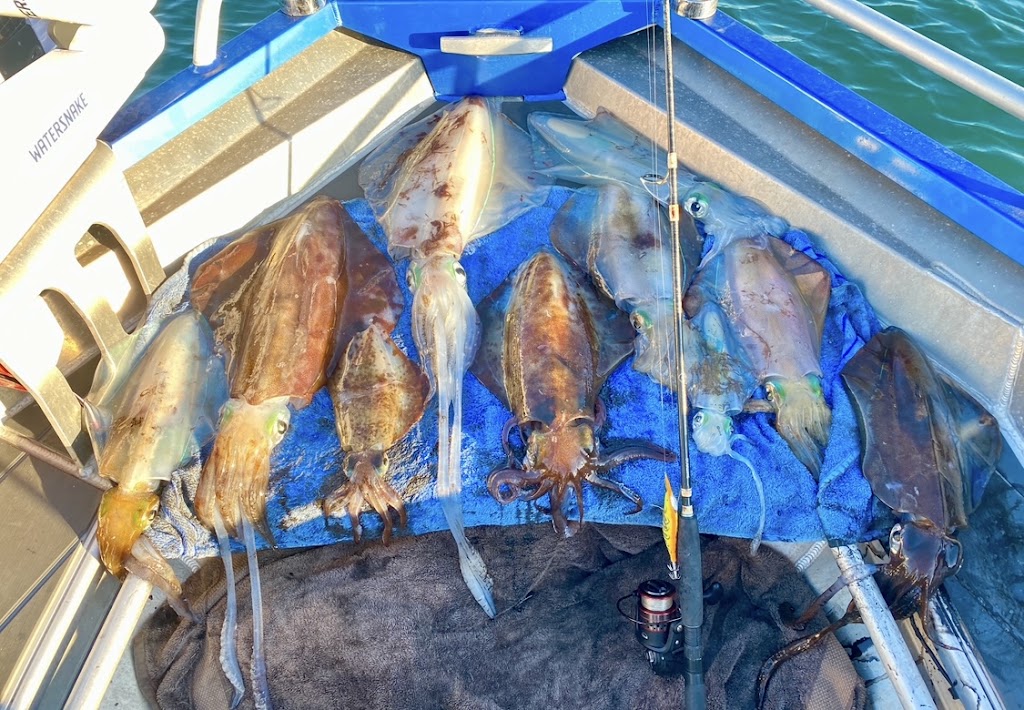 Pro Red Fishing Charter | 21 Skinner St, Hastings VIC 3915, Australia | Phone: 0421 442 775