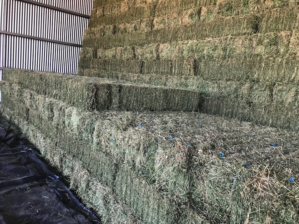 Carram Dale Farm Hay & Grain Sales Doug Jennings | Jennings Rd, Baringhup VIC 3463, Australia | Phone: 0419 282 811