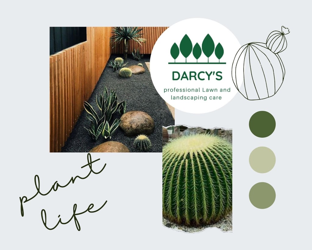 Darcys Professional lawn and landscaping care | 70 Carrum Woods Dr, Carrum Downs VIC 3201, Australia | Phone: 0439 653 124