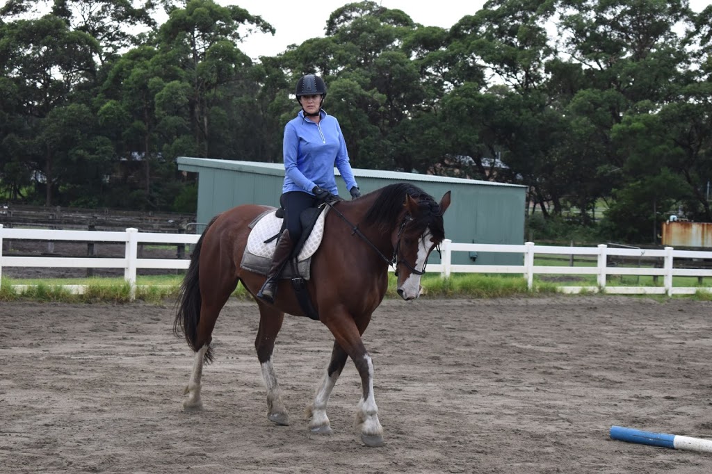 Regal Riding School | 1534 Bolong Rd, Coolangatta NSW 2535, Australia | Phone: 0417 317 325