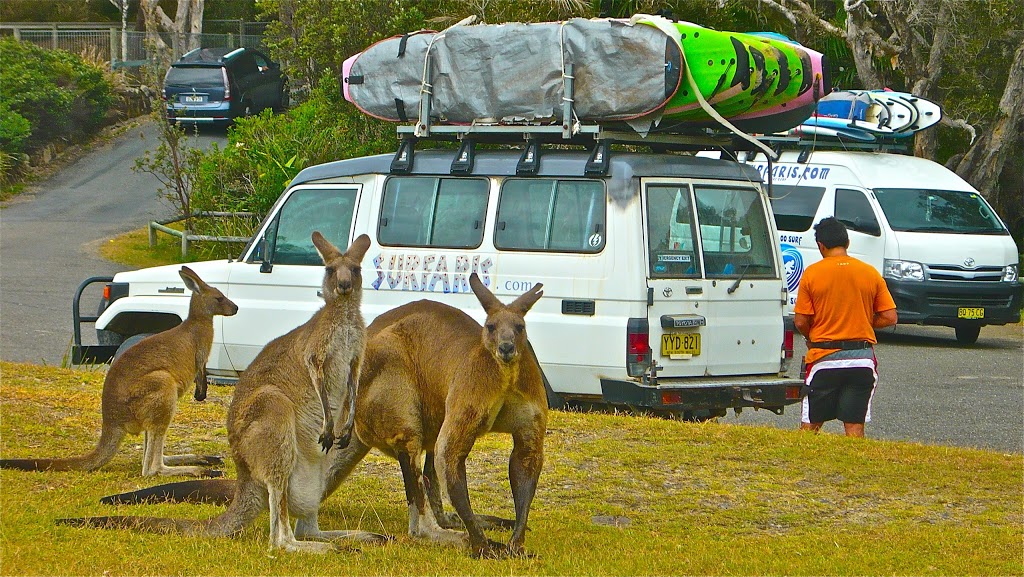 Surfaris Surf Camp - Crescent Head Accommodation | 271 Loftus Rd, Crescent Head NSW 2440, Australia | Phone: (02) 6566 0009