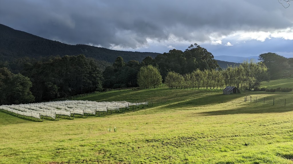 Hartzview Vineyard | 70 Dillons Rd, Gardners Bay TAS 7112, Australia | Phone: (03) 6295 1623