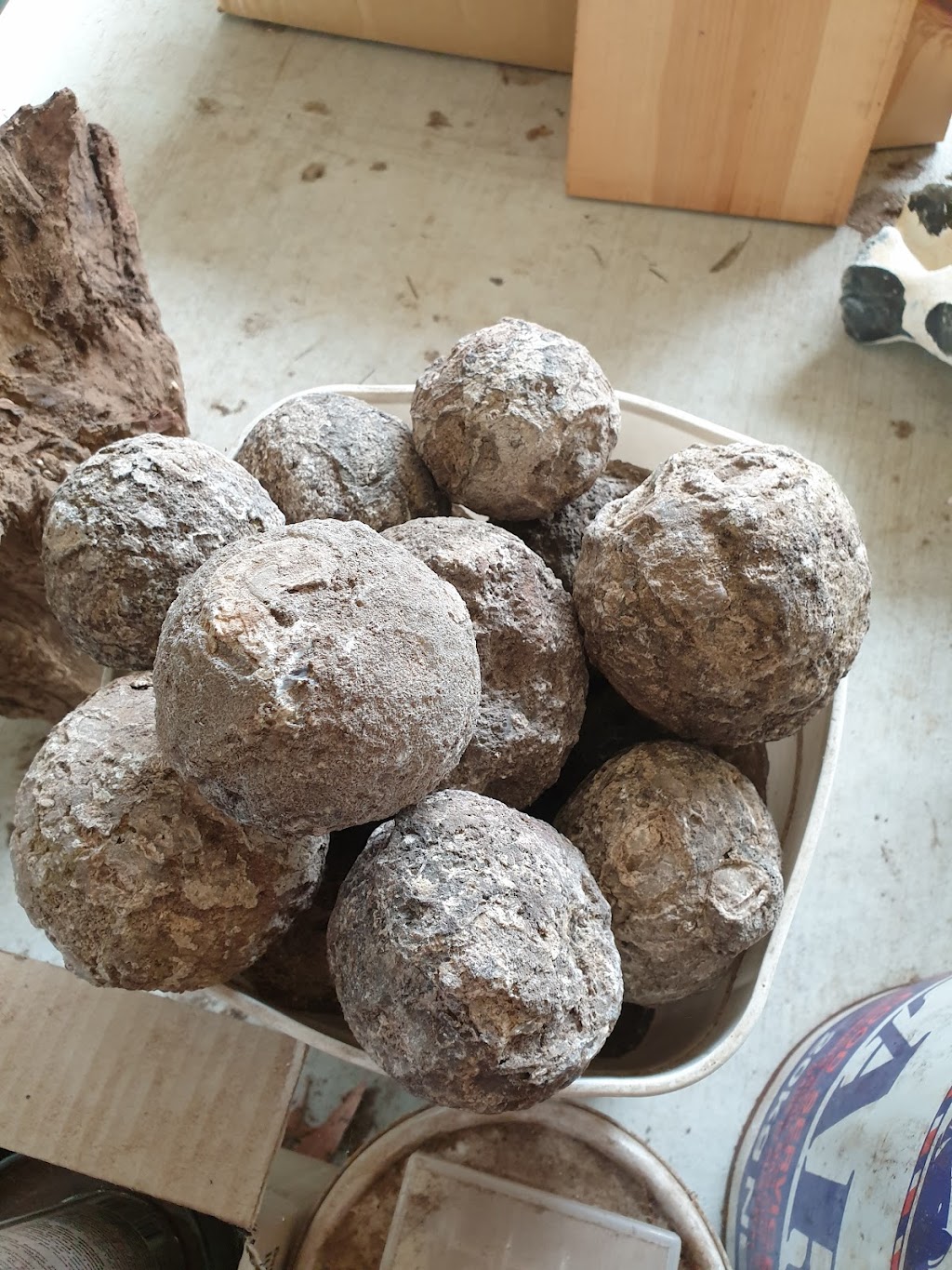 Beenleigh Lapidary Club | 69 Kent St, Beenleigh QLD 4207, Australia | Phone: 0478 527 597