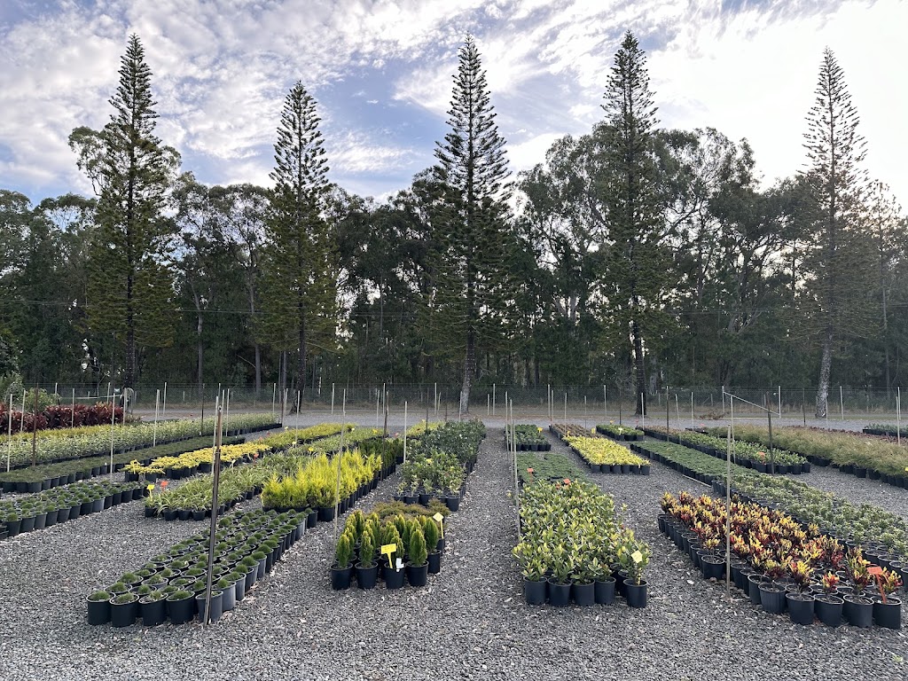 Rutters Road Nursery -Wholesale Only | 196 Rutters Rd, Elimbah QLD 4516, Australia | Phone: 0416 122 857