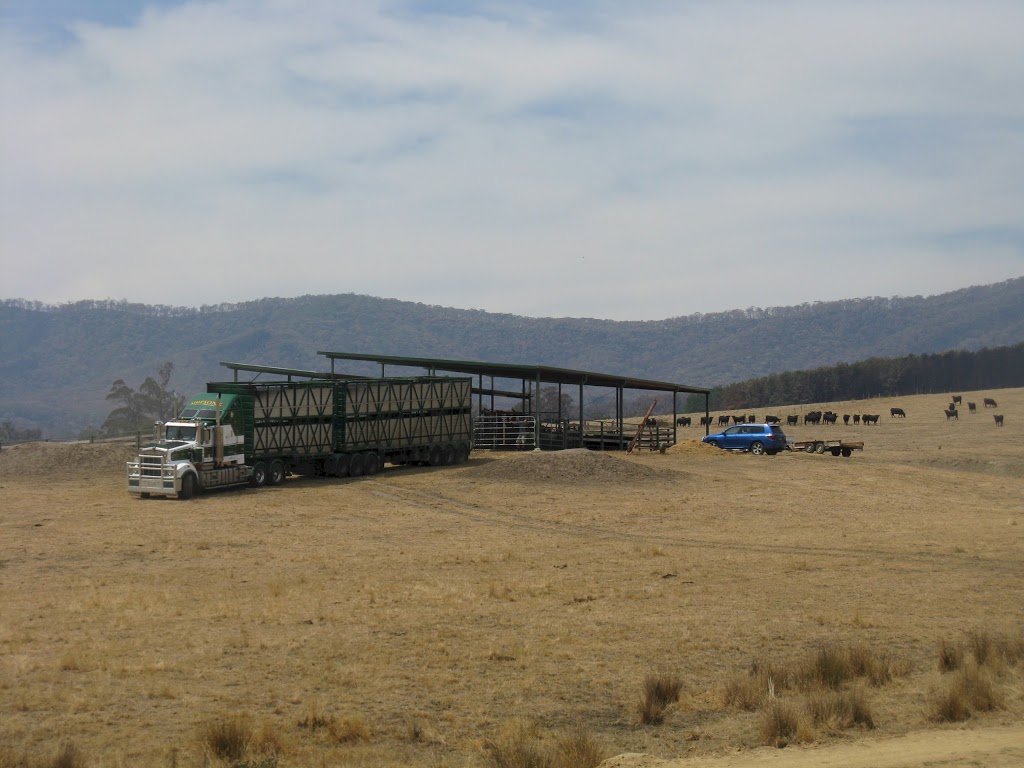 Simpsons Livestock Transport | moving company | Simpson Rd, Kergunyah VIC 3691, Australia | 0428698062 OR +61 428 698 062