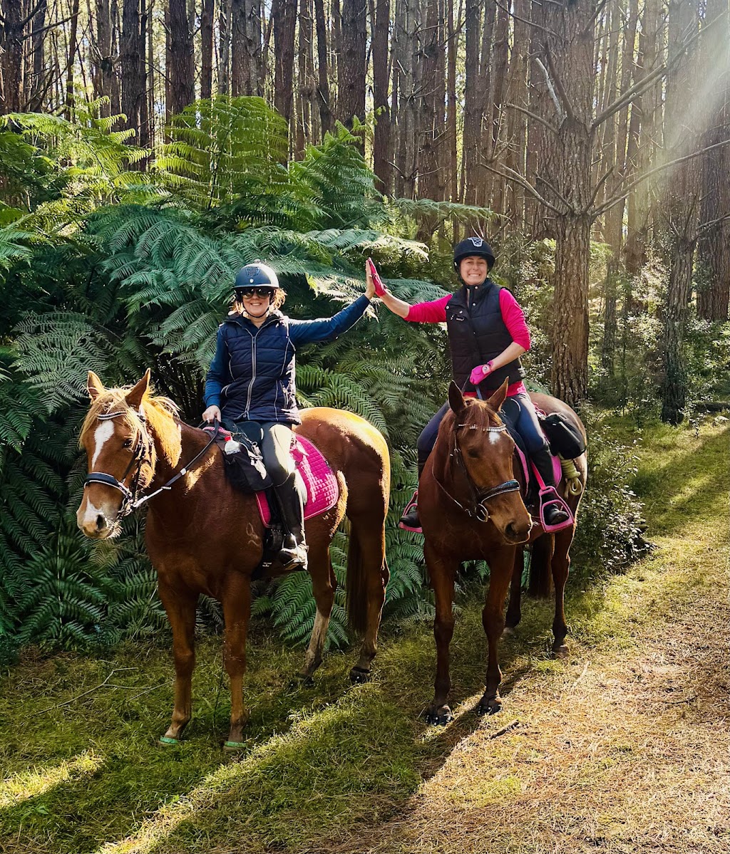 Highlands Equine Trail Adventures ( on your own horse) | 7007 Illawarra Hwy, Moss Vale NSW 2577, Australia | Phone: 0447 224 473