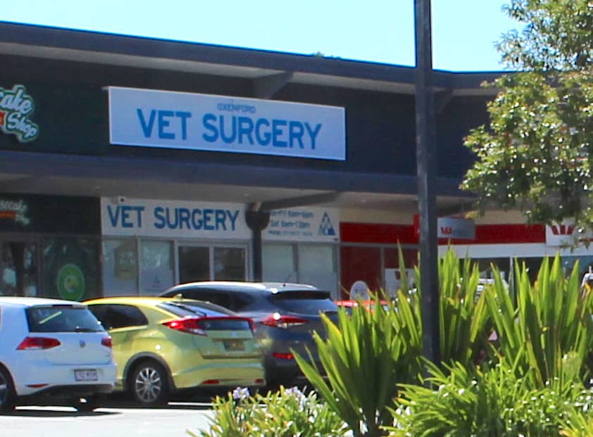 Oxenford Veterinary Surgery | 7/1 Cottonwood Pl, Oxenford QLD 4210, Australia | Phone: (07) 5573 1414