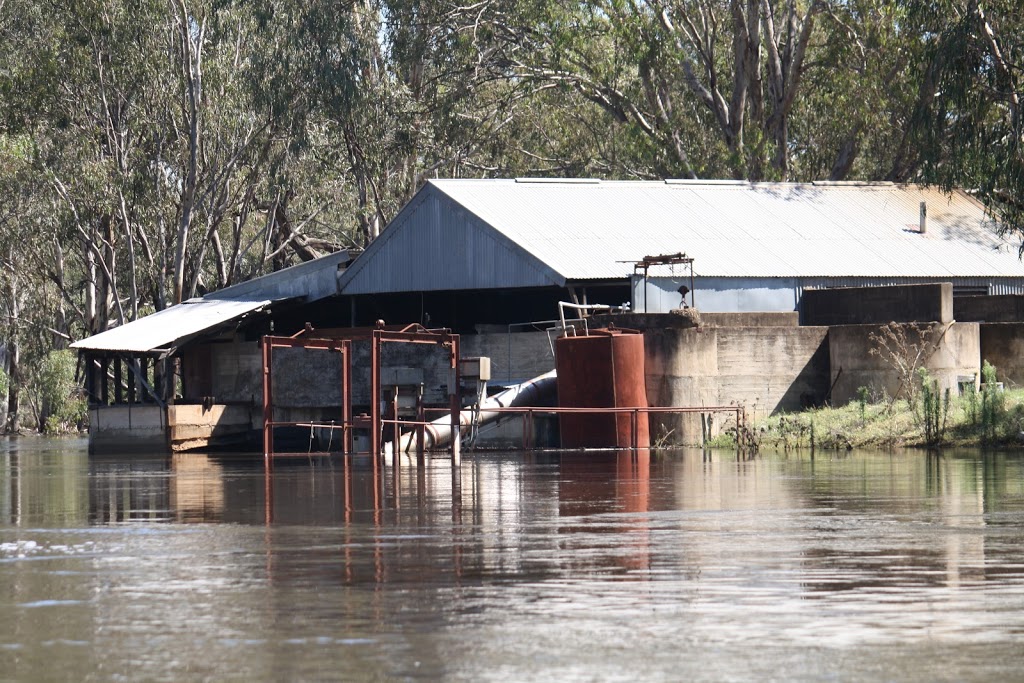 Coonara Farming | 4952 Murrumbidgee River Rd, Carrathool NSW 2711, Australia | Phone: (02) 6993 5012