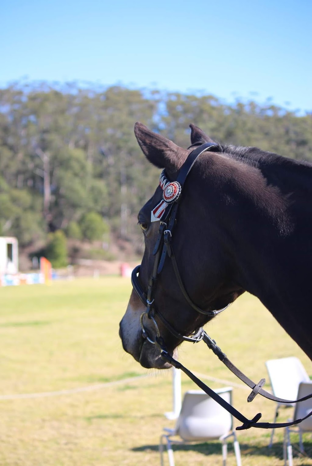 Berry Riding Club | 50 Schofields Ln, Berry NSW 2535, Australia | Phone: 0410 506 143