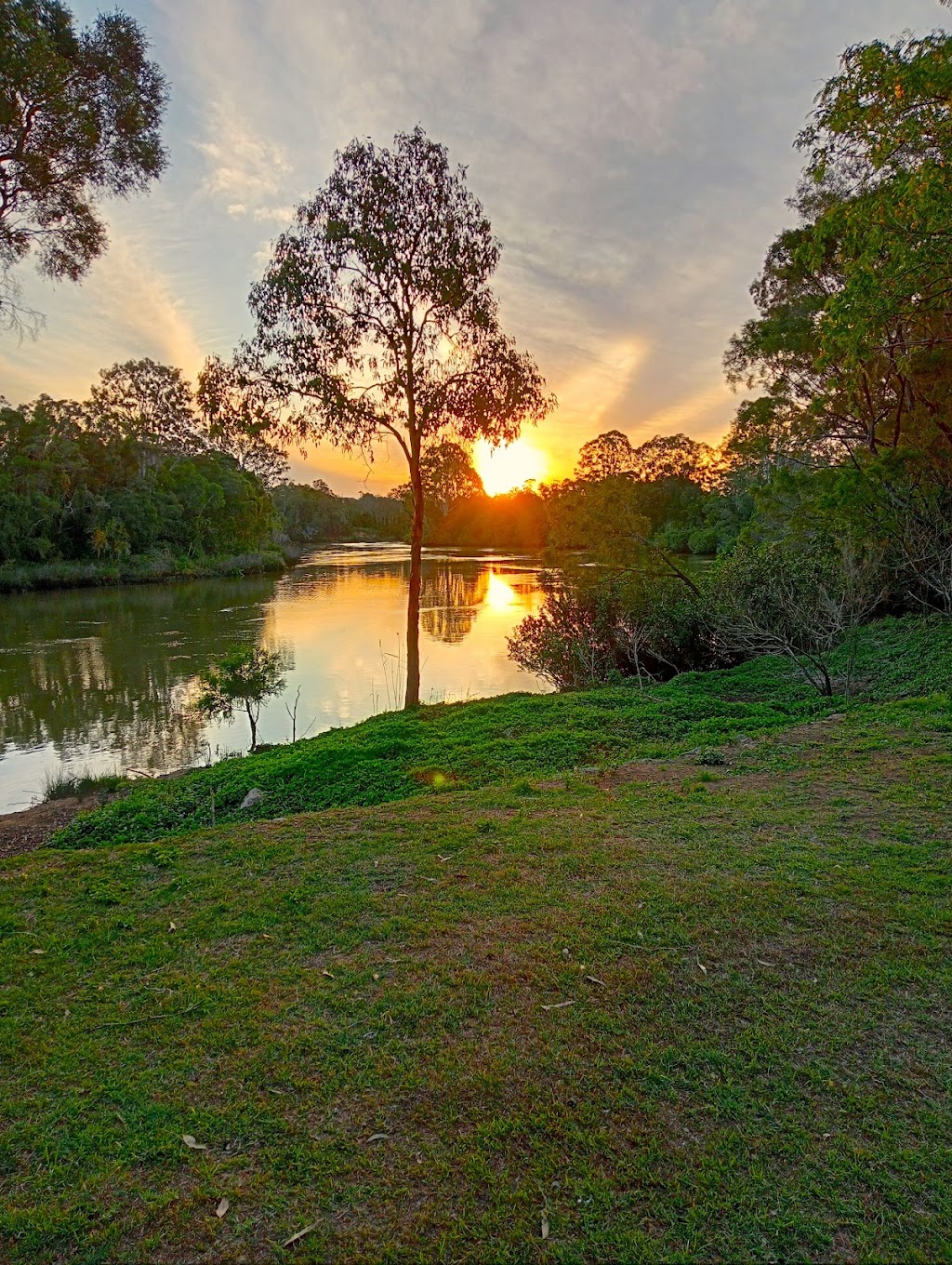 Goldhayven Farm | 74 Danyenah St, Loganholme QLD 4129, Australia | Phone: 0411 571 542