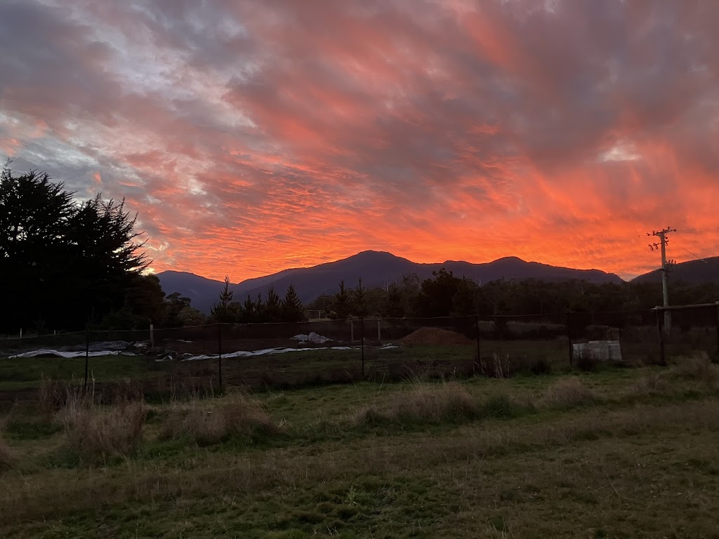 Appinoka Regenerative Farming | 36 Waggs Rd, Mountain River TAS 7109, Australia | Phone: 0457 207 638