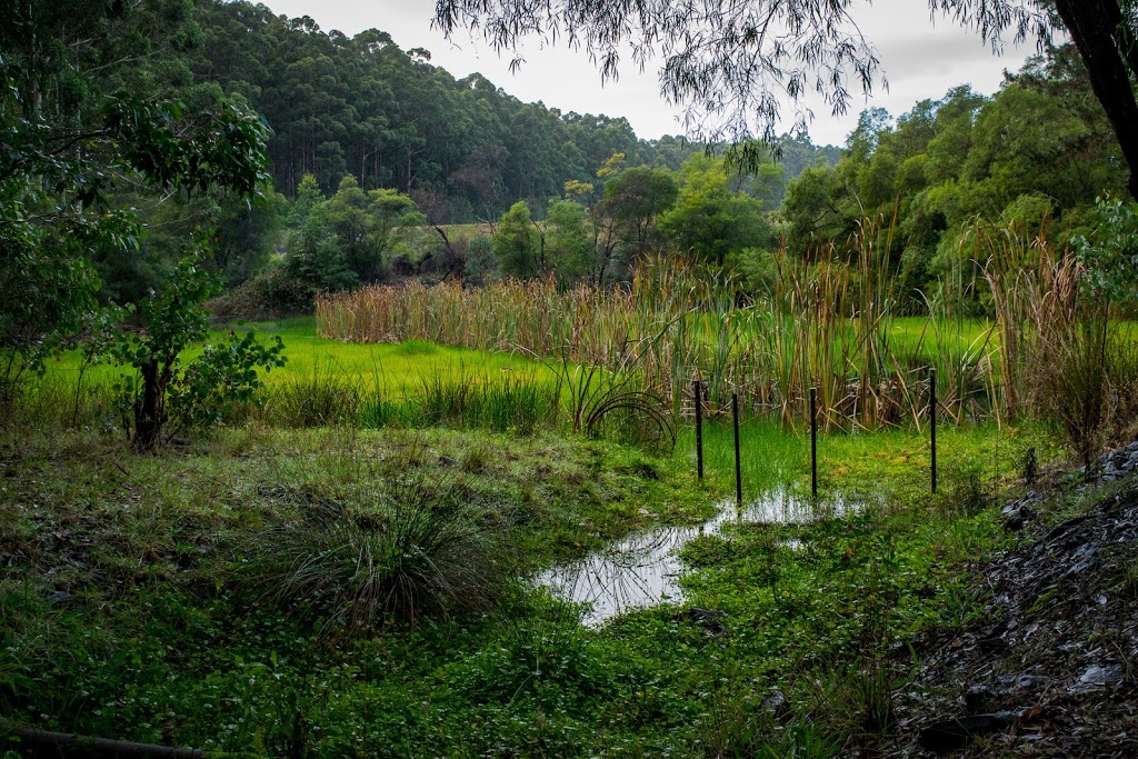 Karri Lake Trail | park | Unnamed Road, Quinninup WA 6258, Australia