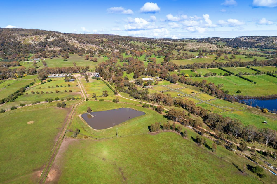 Longwood Thoroughbred Farm | 197 Longwood-Ruffy Rd, Longwood East VIC 3666, Australia | Phone: (0419) 296523