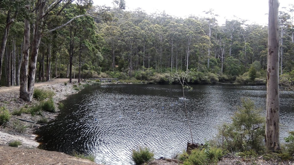 Shannon Dam | park | Unnamed Road, Lake Muir WA 6258, Australia