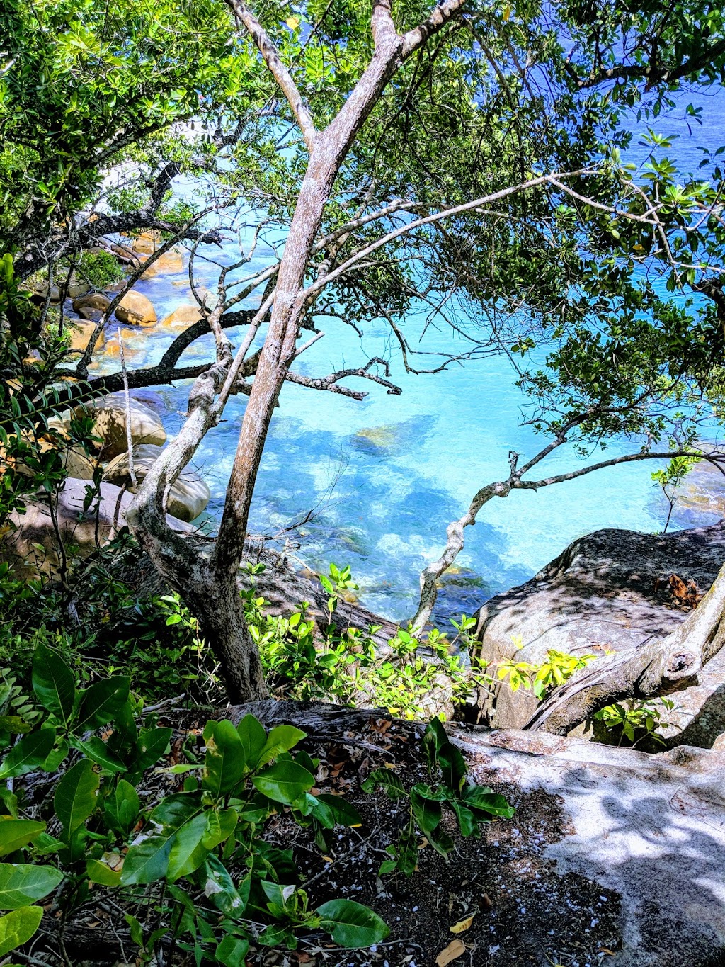 Fitzroy Island National Park | Fitzroy Island QLD 4871, Australia | Phone: 13 74 68