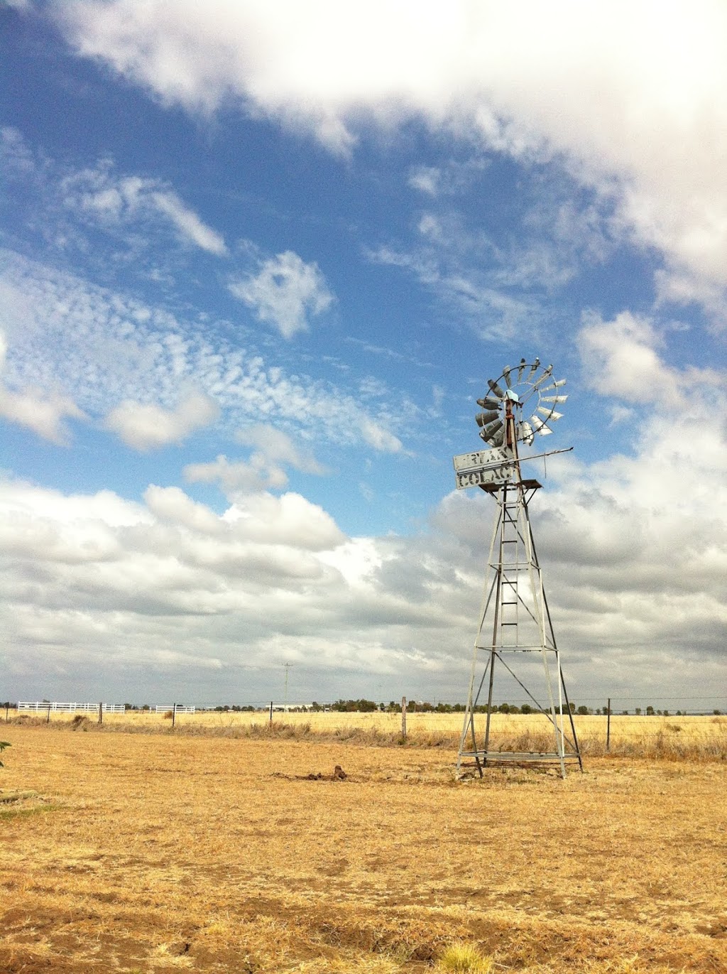 Evergreen Farms | 5449 Gregory Hwy, Emerald QLD 4720, Australia | Phone: 0487 367 175