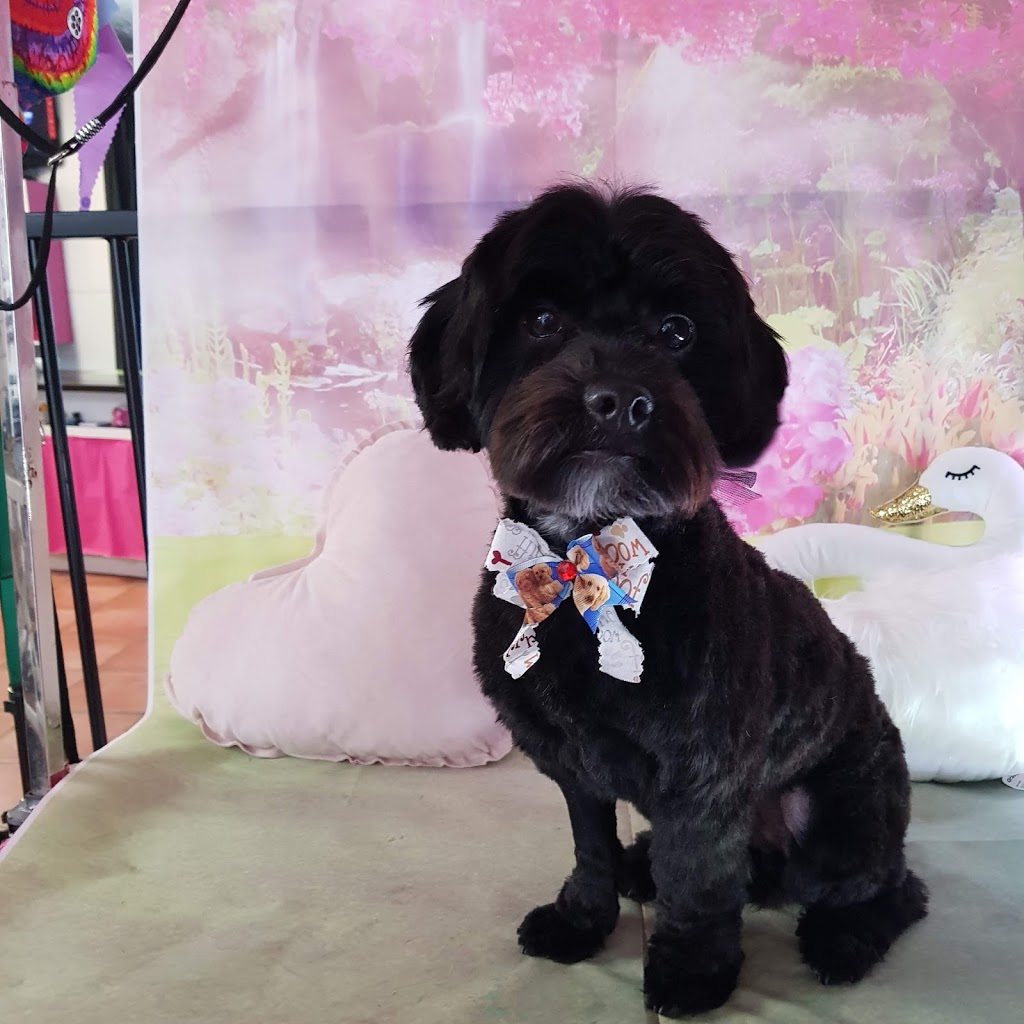 Furkidz Grooming | 51 Edgerton Dr, Plainland QLD 4341, Australia | Phone: 0401 876 407