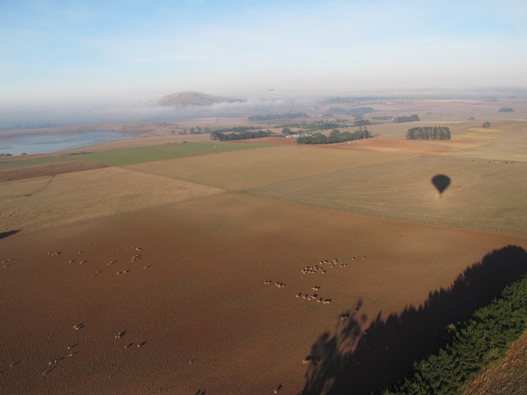 Daylesford Ballooning | travel agency | 98 Vincent St, Daylesford VIC 3460, Australia | 0394290277 OR +61 3 9429 0277