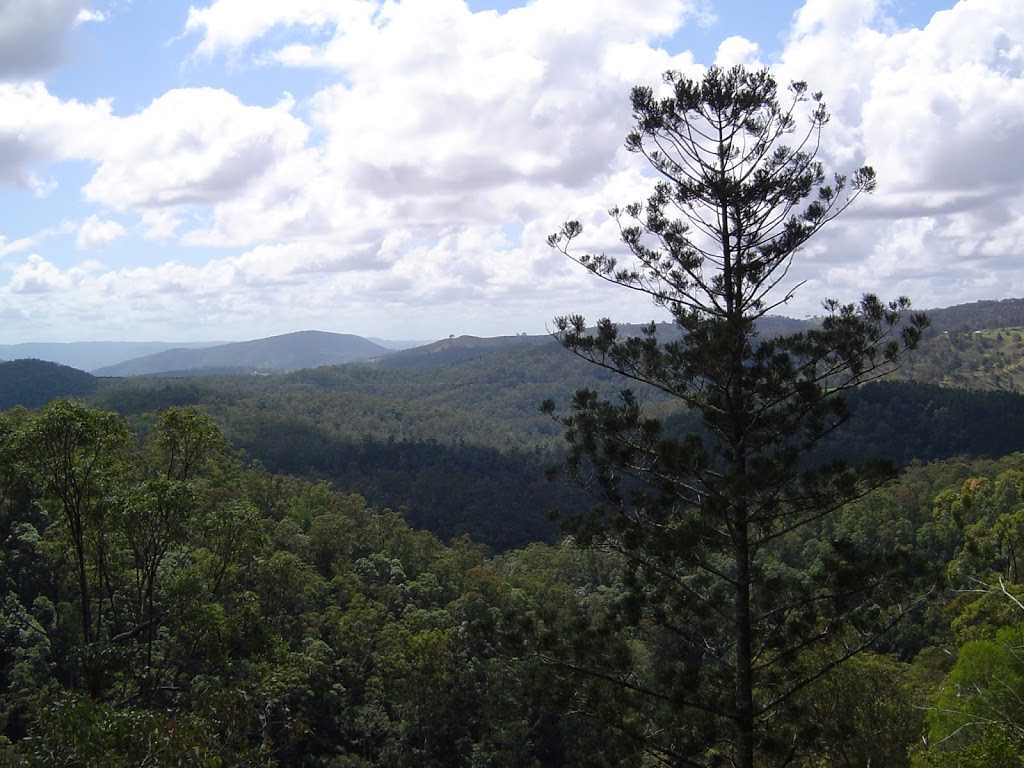 Mount Mee State Forest | park | Queensland, Australia