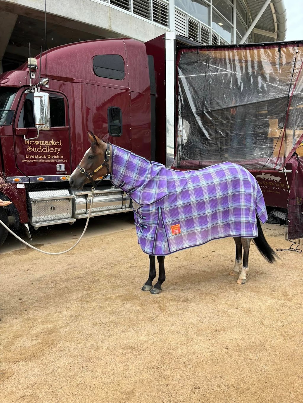 Newmarket Saddlery | 30 Main St, Cudal NSW 2864, Australia | Phone: 0414 942 227