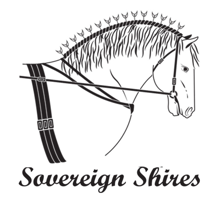 Sovereign Shires | 2560 Boonah Rathdowney Rd, Maroon QLD 4310, Australia | Phone: 0476 199 826