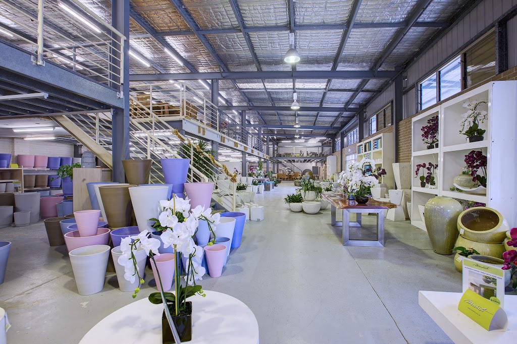 Mosarte | furniture store | Unit 2/14 Roseberry St, Balgowlah NSW 2093, Australia | 0299072299 OR +61 2 9907 2299
