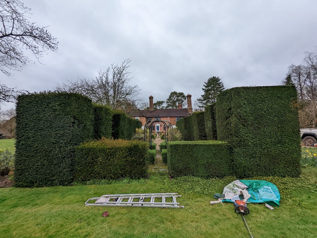 Roots Shoots & Leaves Garden Maintenance | 17 Connaghan Ave, East Corrimal NSW 2518, Australia | Phone: 0490 797 129