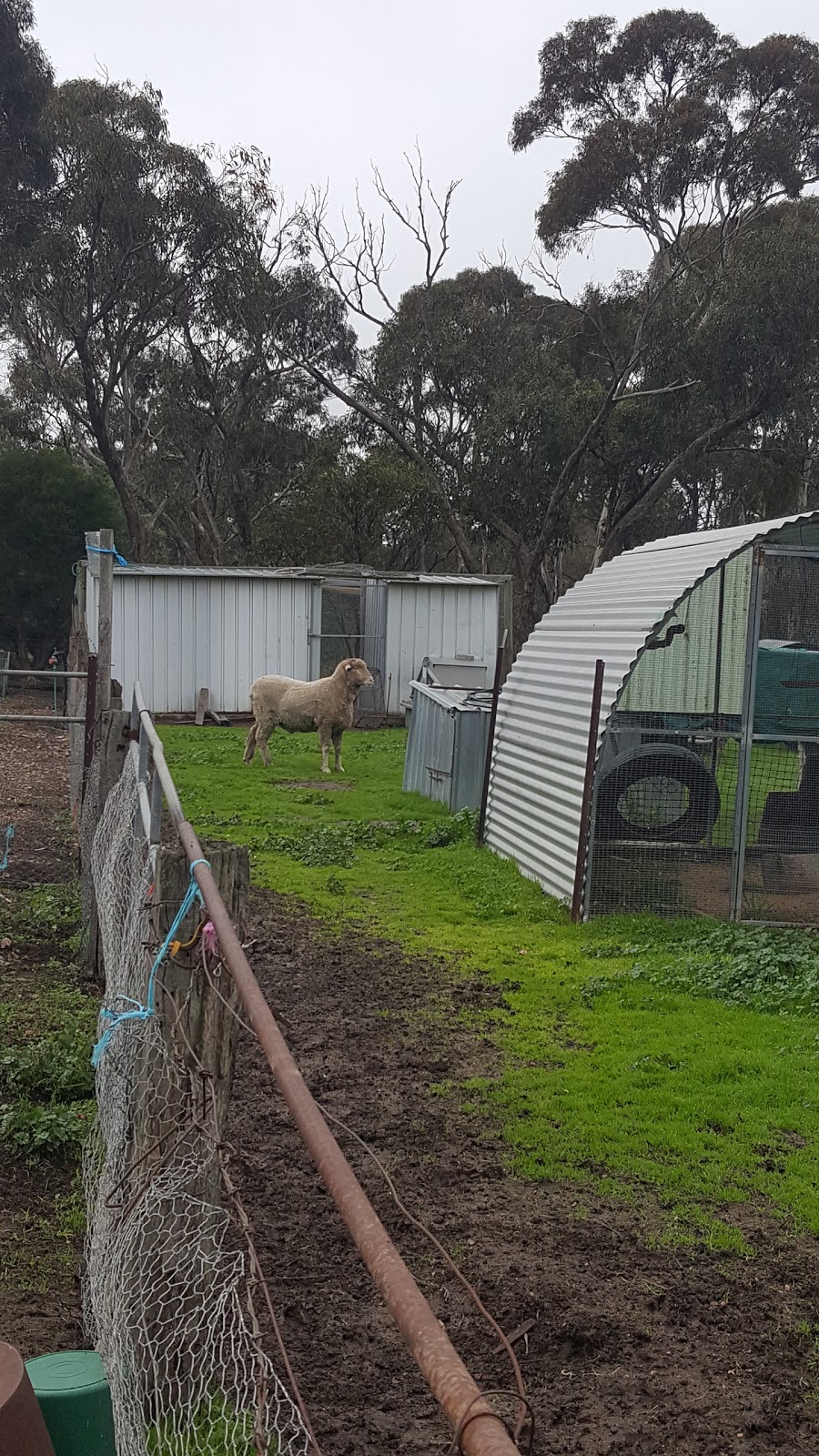 Sloane Street Milk Bar | 76 Sloane St, Stawell VIC 3380, Australia | Phone: (03) 5358 1606