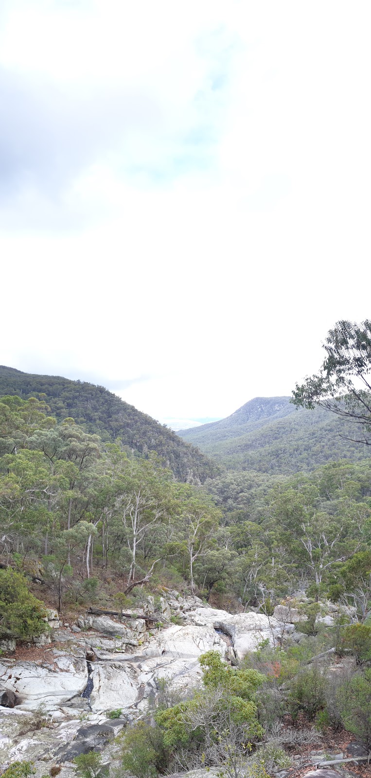 Myanba Gorge lookout | Myanba Gorge Walking Track, Coolangubra NSW 2550, Australia | Phone: (02) 6458 5900