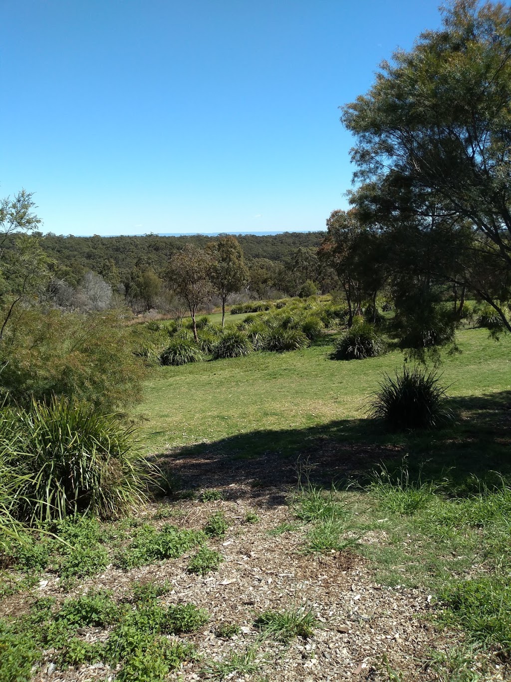 The Ridge Dog Off-Leash Bush Park | park | Barden Ridge NSW 2234, Australia | 0297100333 OR +61 2 9710 0333