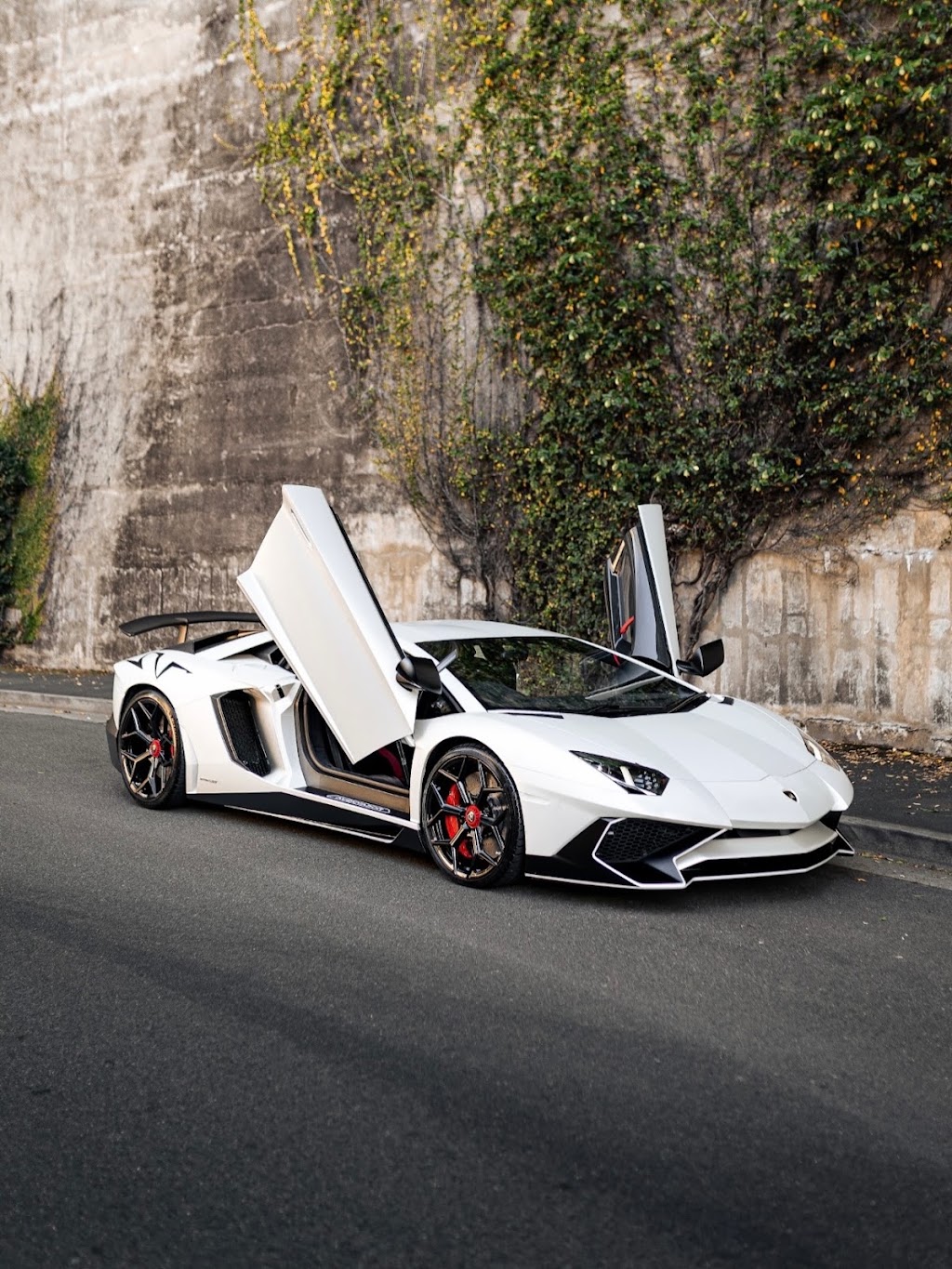 Supreme Gloss Mobile Car Detailing | 19 Buljubasich St, Austral NSW 2179, Australia | Phone: 0480 833 035