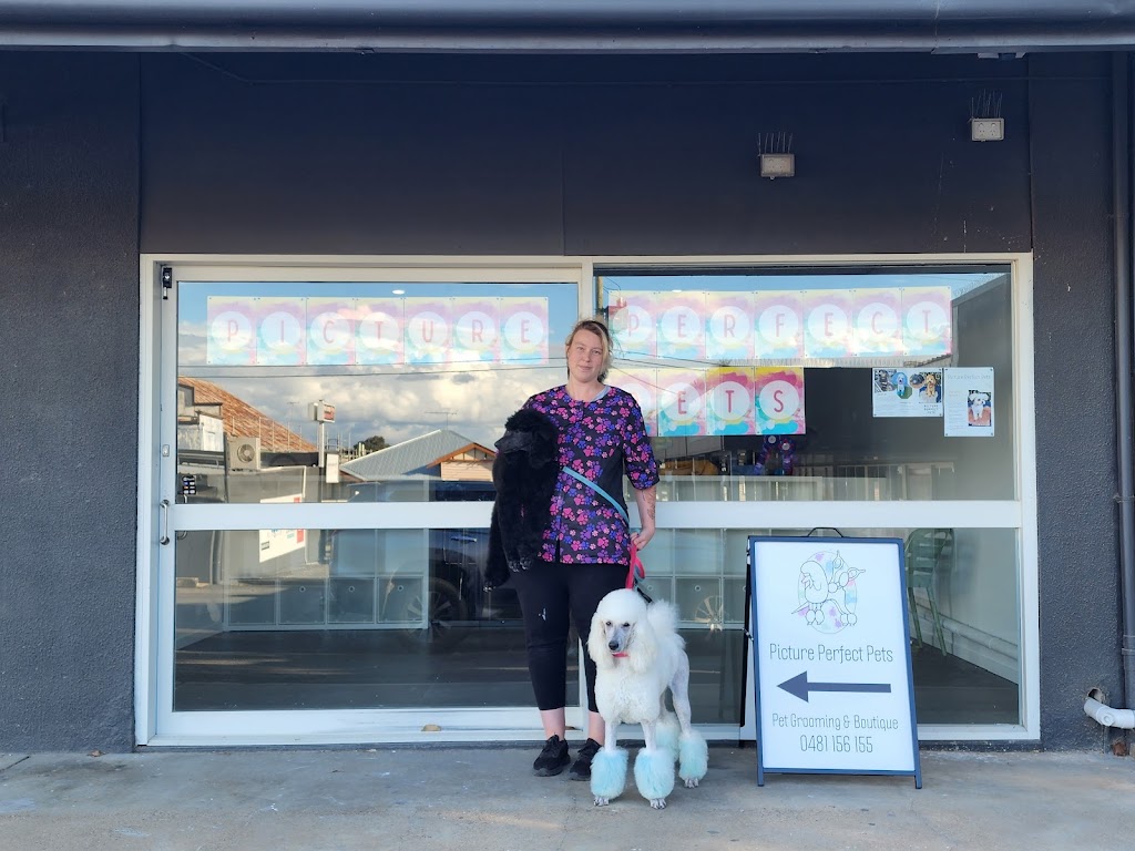 Picture Perfect Pets | shop 10 4/8 Walters St, Lowood QLD 4311, Australia | Phone: 0481 156 155