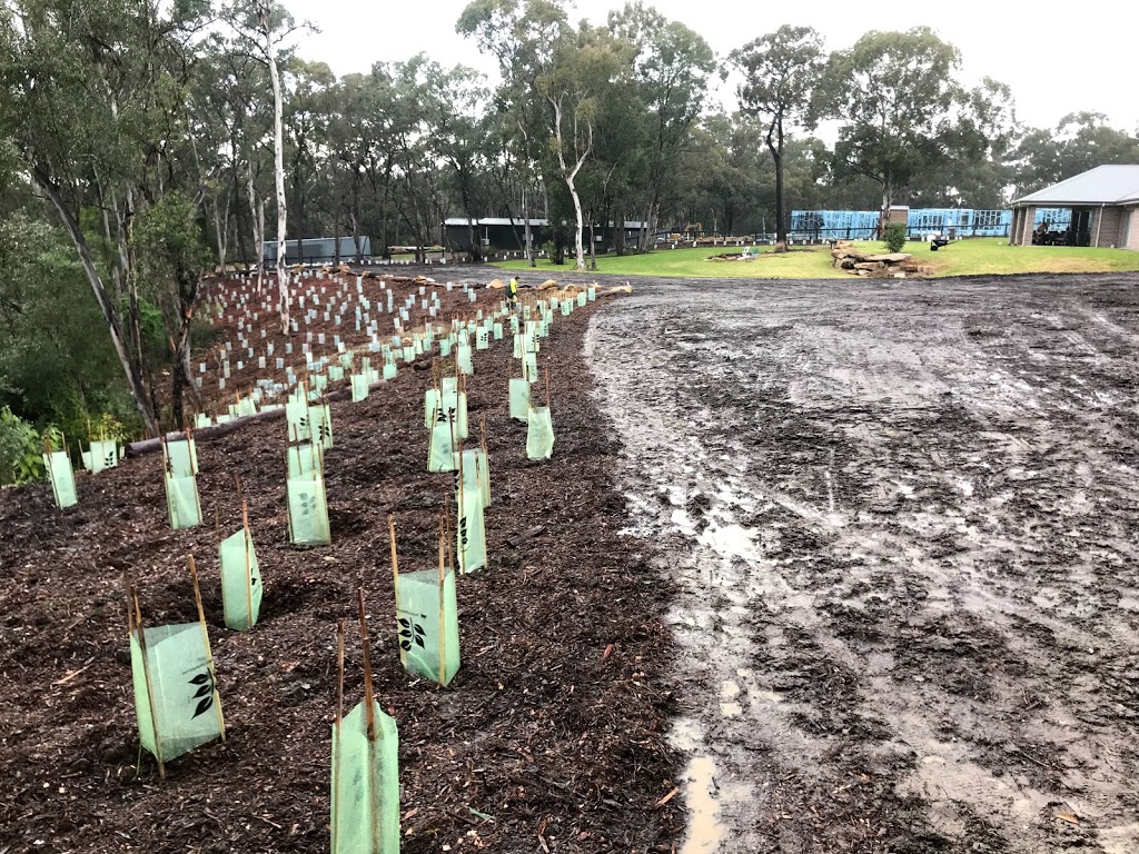 BARRC - Bushland And Rainforest Restoration & Consulting | 268 Hubbards Rd N, Topi Topi NSW 2423, Australia | Phone: (02) 4997 7500