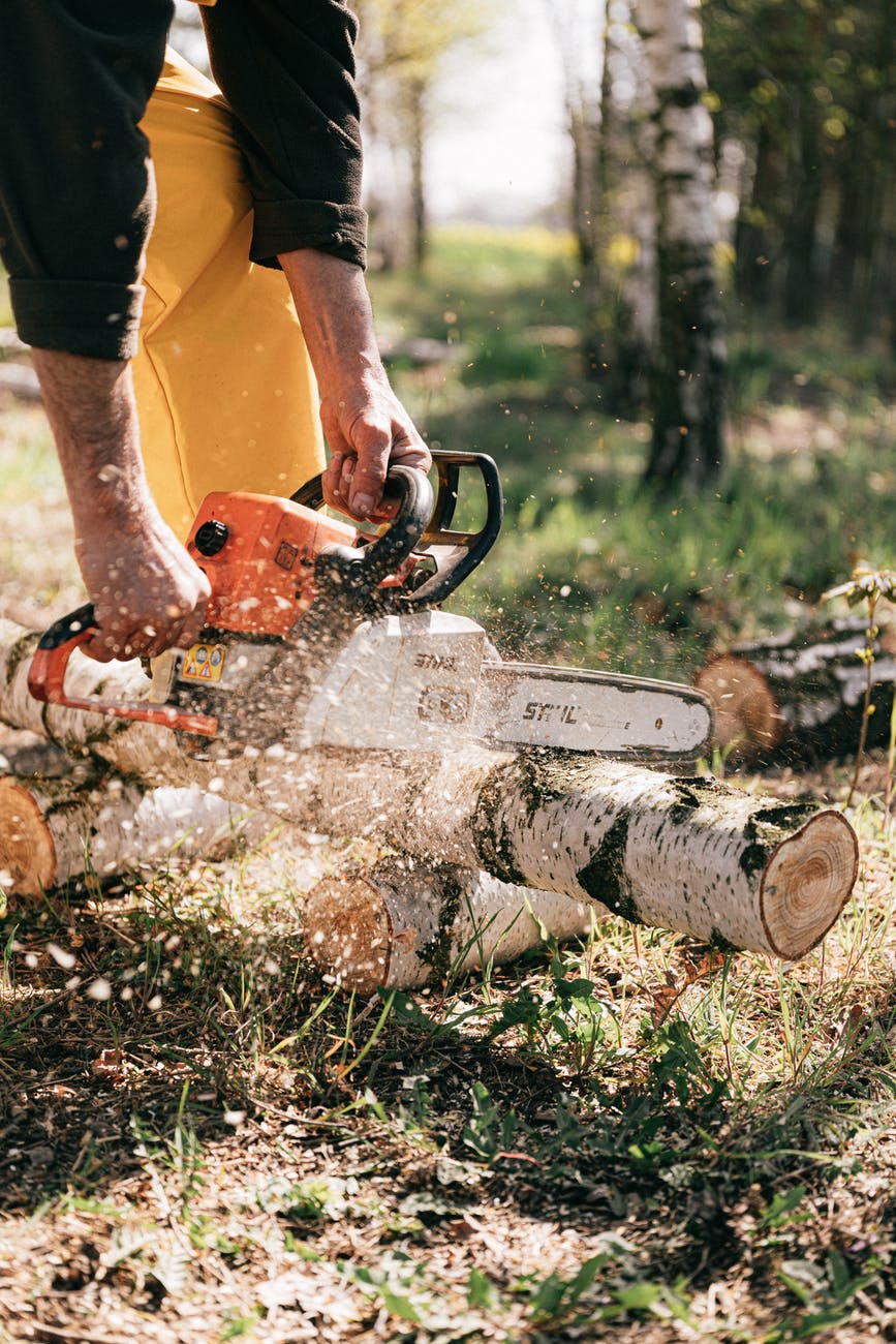 Sydney Tree Removal / Tree Services and Pruning | 3A Norfolk Rd, Longueville NSW 2066, Australia | Phone: 0490 014 553