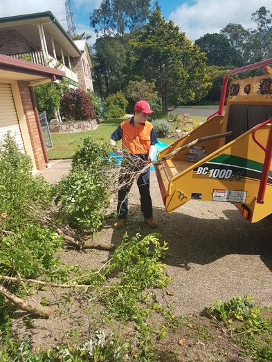 Steves Stump Grinding & Tree Services |  | 10 School Rd, Yandina QLD 4561, Australia | 0438728183 OR +61 438 728 183