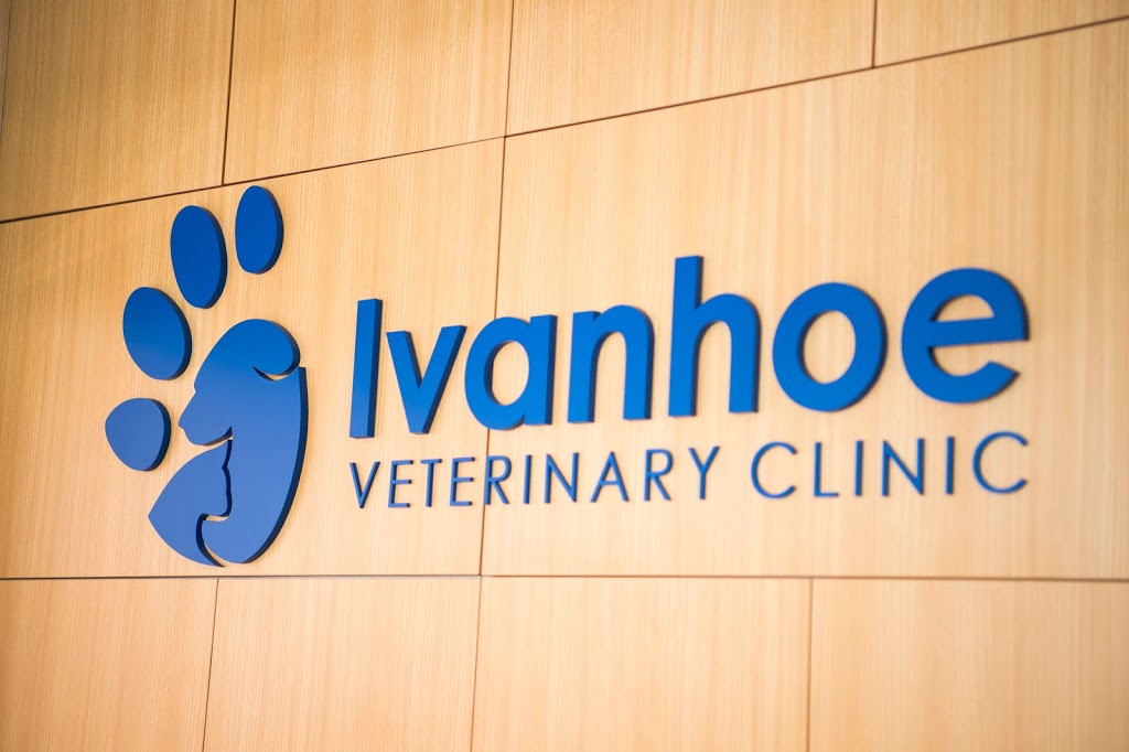 Ivanhoe Veterinary Clinic | veterinary care | 51 Upper Heidelberg Rd, Ivanhoe VIC 3079, Australia | 0394993691 OR +61 3 9499 3691