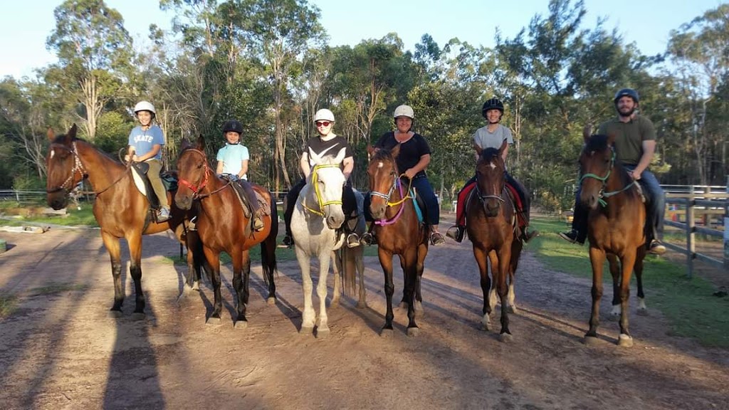 Hucknall Horses | 7 Hucknall Rd, Yengarie QLD 4650, Australia | Phone: 0413 507 738