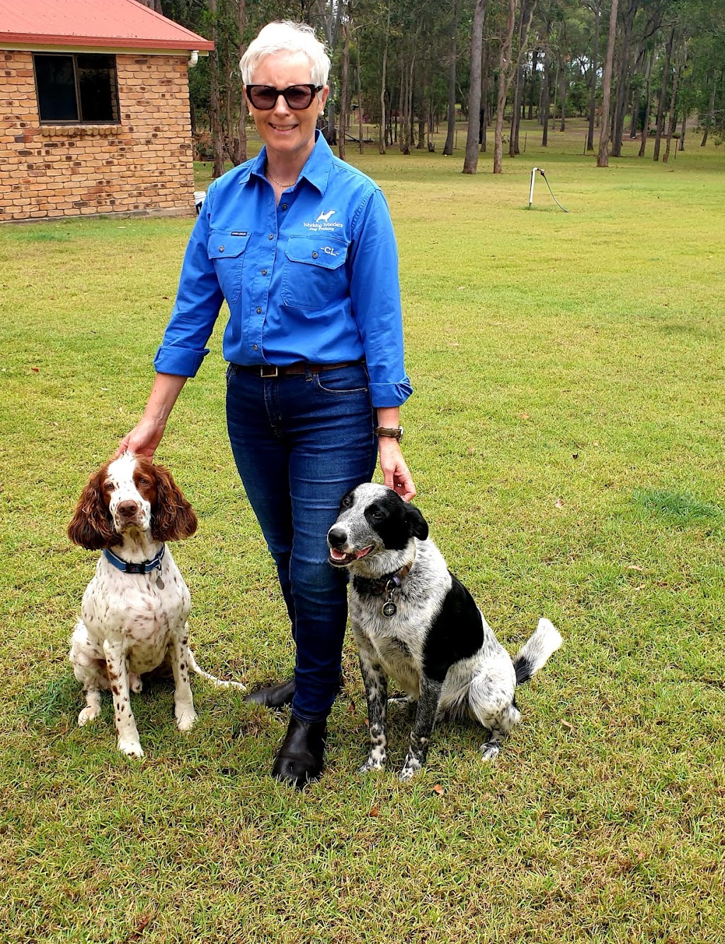 Working Wonders Dog Training | Pleasant Dr, Sharon QLD 4670, Australia | Phone: 0418 279 009